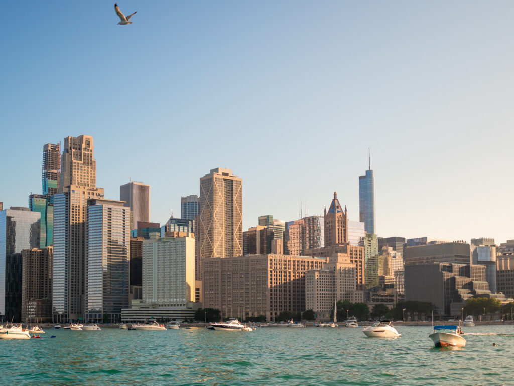 Chicago skyline view from the playpen